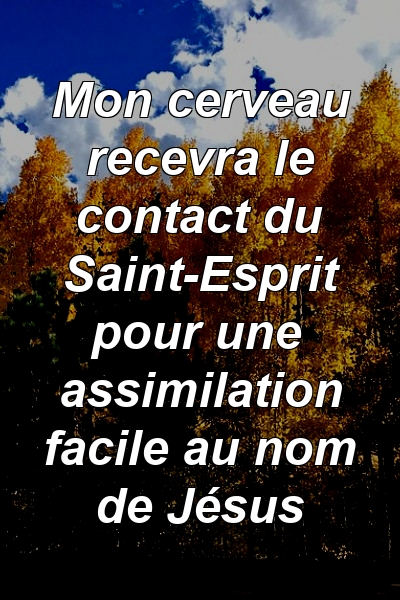 Mon cerveau recevra le contact du Saint-Esprit pour une assimilation facile au nom de Jésus