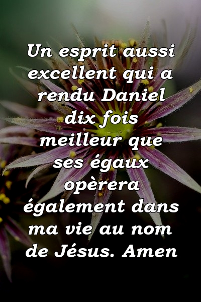 Un esprit aussi excellent qui a rendu Daniel dix fois meilleur que ses égaux opèrera également dans ma vie au nom de Jésus. Amen