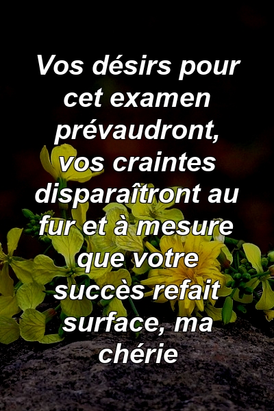 Vos désirs pour cet examen prévaudront, vos craintes disparaîtront au fur et à mesure que votre succès refait surface, ma chérie