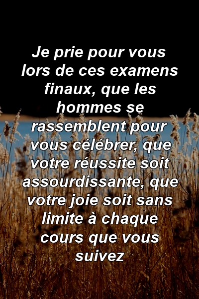 Je prie pour vous lors de ces examens finaux, que les hommes se rassemblent pour vous célébrer, que votre réussite soit assourdissante, que votre joie soit sans limite à chaque cours que vous suivez