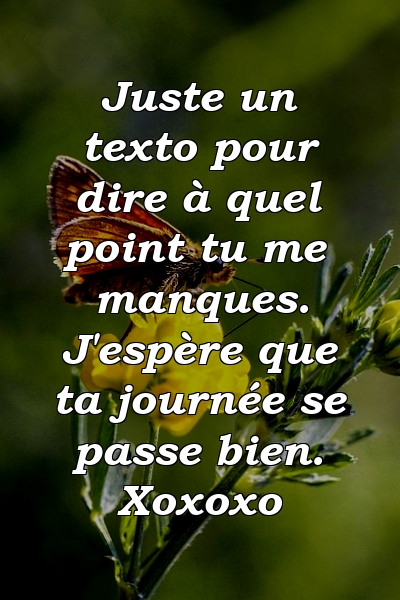 Juste un texto pour dire à quel point tu me manques. J