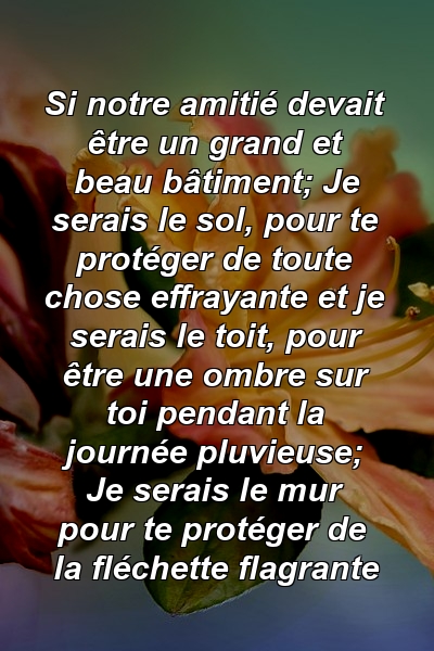 Si notre amitié devait être un grand et beau bâtiment; Je serais le sol, pour te protéger de toute chose effrayante et je serais le toit, pour être une ombre sur toi pendant la journée pluvieuse; Je serais le mur pour te protéger de la fléchette flagrante