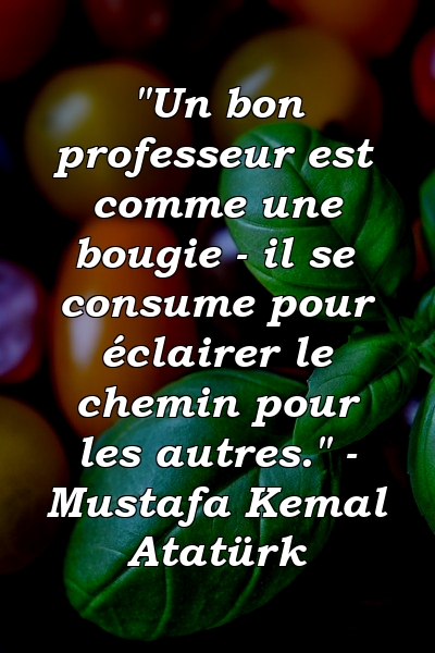 "Un bon professeur est comme une bougie - il se consume pour éclairer le chemin pour les autres." - Mustafa Kemal Atatürk